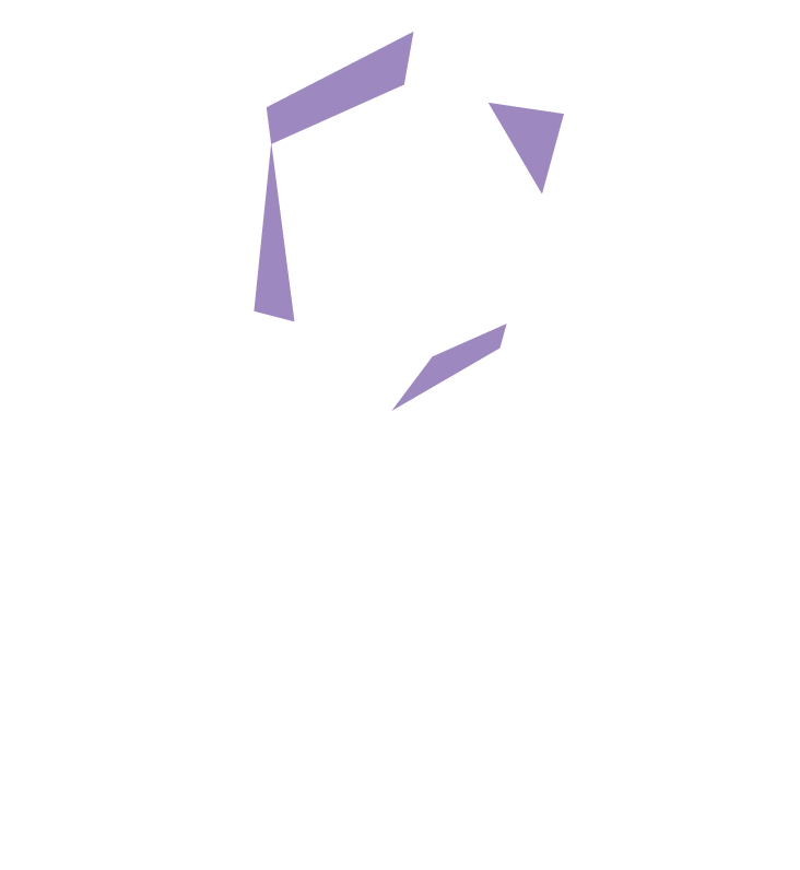 Schweizer Edelsteine AG